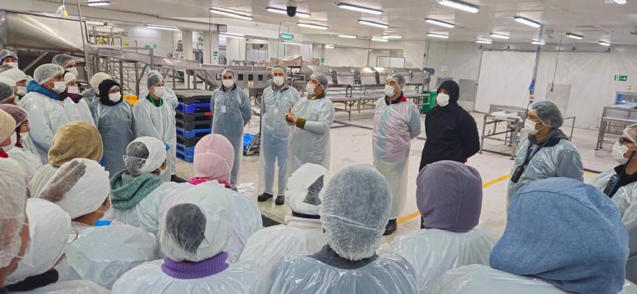 Equipo de planta de alimentos, con cofia y mascarilla, reunido en una capacitación en terreno